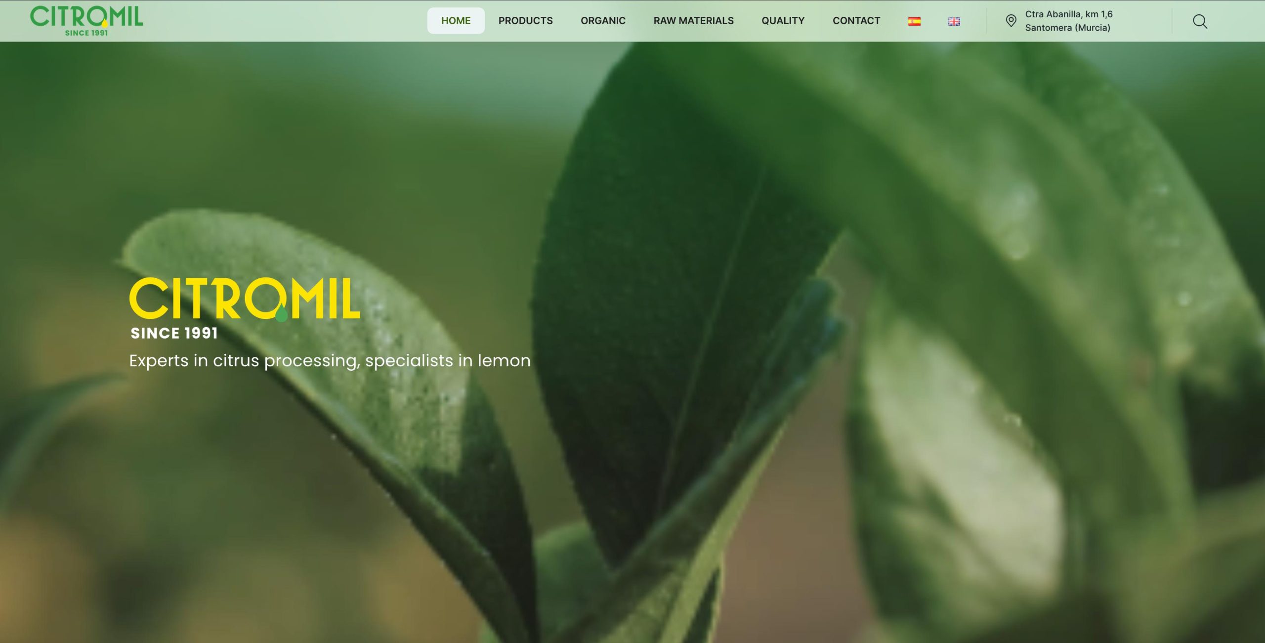 FAQ – Agence web spécialisée en création de site et SEO FAQ – Agence web