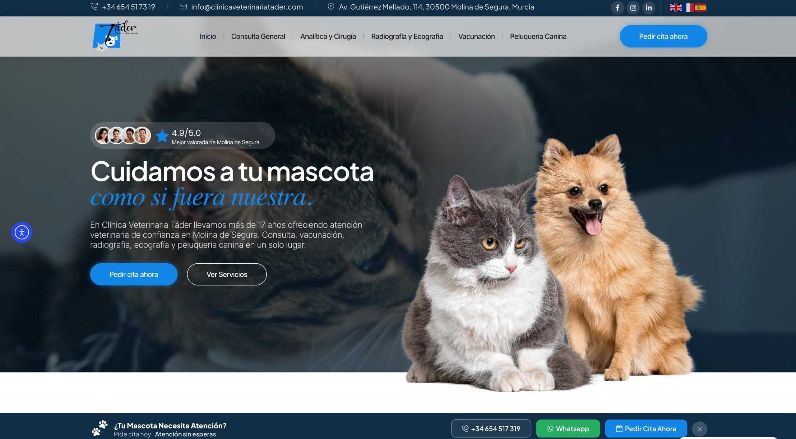 FAQ – Agence web spécialisée en création de site et SEO FAQ – Agence web